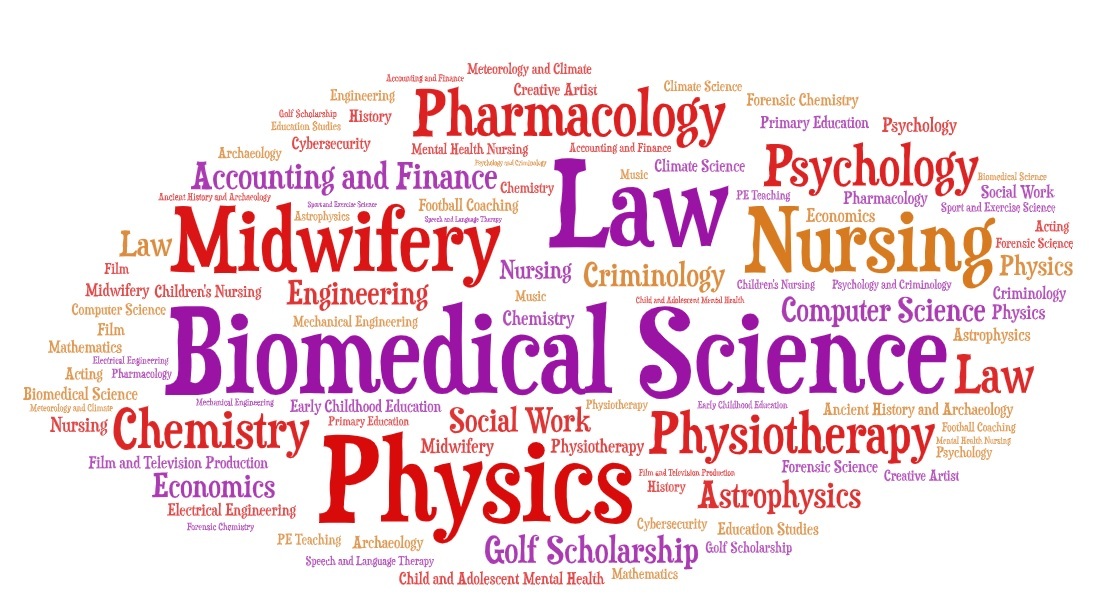 Subjects wordle