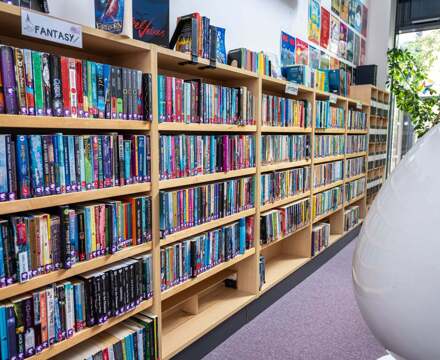 Library books on shelf